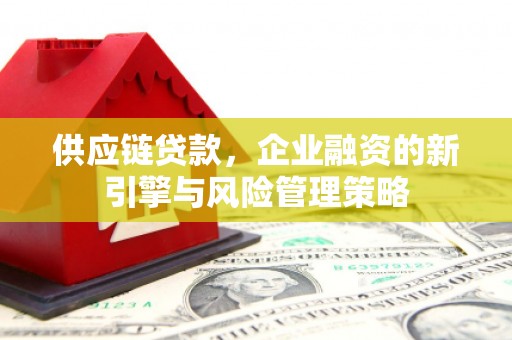 特克斯供应链贷款，企业融资的新引擎与风险管理策略