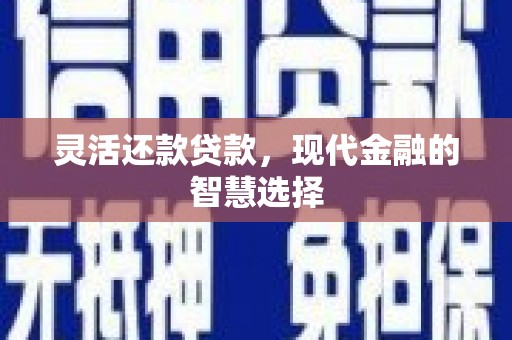 特克斯灵活还款贷款，现代金融的智慧选择