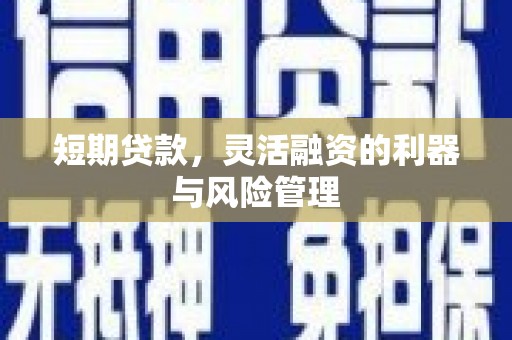 特克斯短期贷款，灵活融资的利器与风险管理