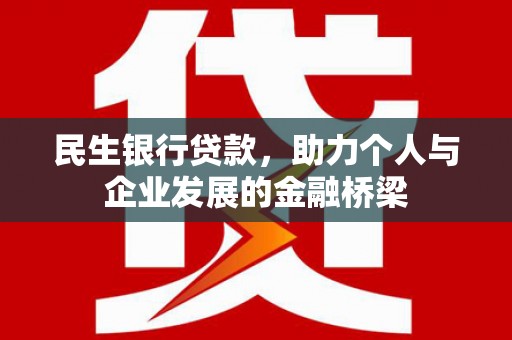 特克斯民生银行贷款，助力个人与企业发展的金融桥梁