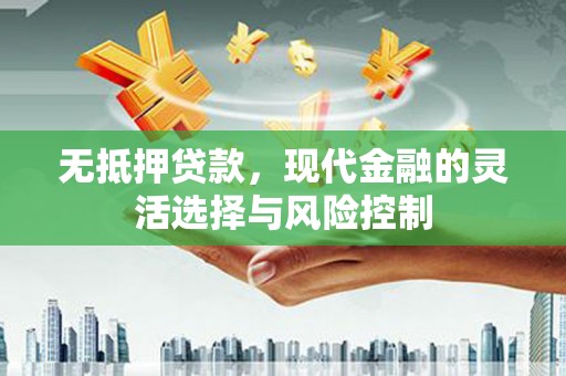 特克斯无抵押贷款，现代金融的灵活选择与风险控制