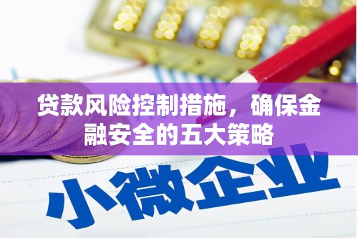 特克斯贷款风险控制措施，确保金融安全的五大策略