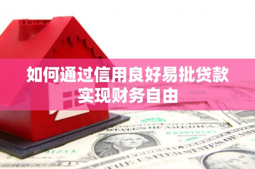 特克斯如何通过信用良好易批贷款实现财务自由