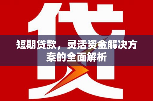 特克斯短期贷款，灵活资金解决方案的全面解析