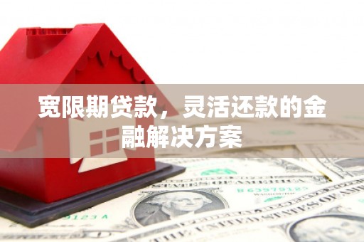 特克斯宽限期贷款，灵活还款的金融解决方案