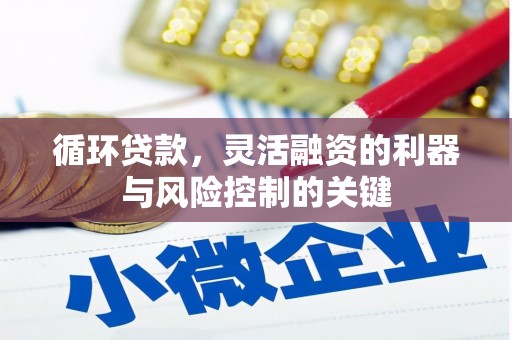 特克斯循环贷款，灵活融资的利器与风险控制的关键