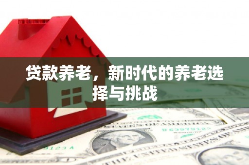 特克斯贷款养老，新时代的养老选择与挑战
