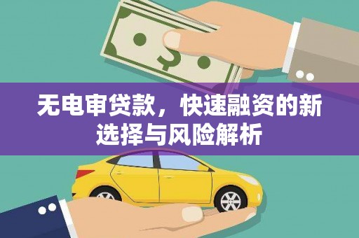 特克斯无电审贷款，快速融资的新选择与风险解析