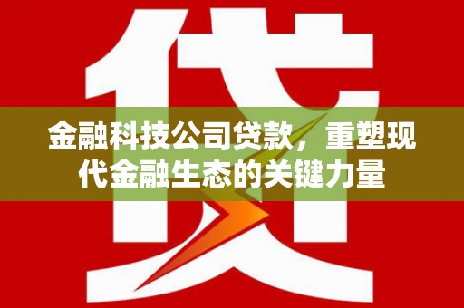 特克斯金融科技公司贷款，重塑现代金融生态的关键力量