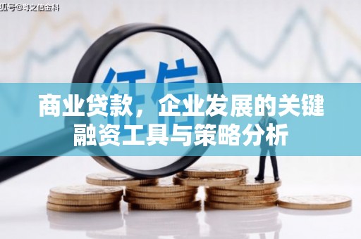 特克斯商业贷款，企业发展的关键融资工具与策略分析