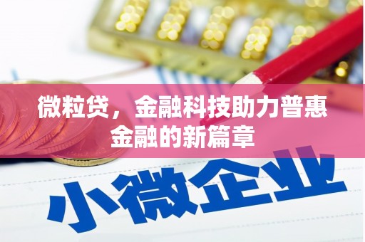 特克斯微粒贷，金融科技助力普惠金融的新篇章