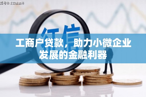 特克斯工商户贷款，助力小微企业发展的金融利器
