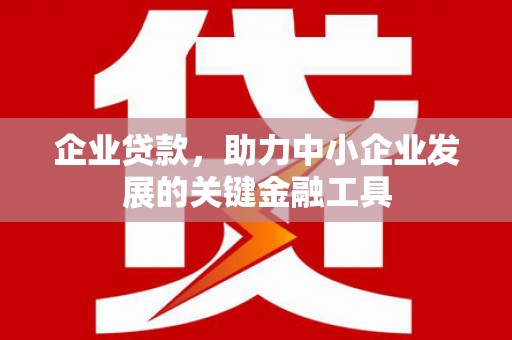 特克斯企业贷款，助力中小企业发展的关键金融工具