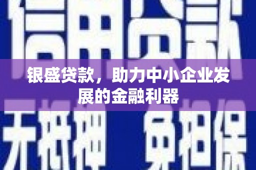 特克斯银盛贷款，助力中小企业发展的金融利器
