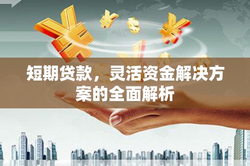 特克斯短期贷款，灵活资金解决方案的全面解析