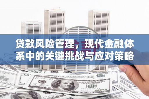 特克斯贷款风险管理，现代金融体系中的关键挑战与应对策略