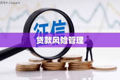 特克斯贷款风险管理