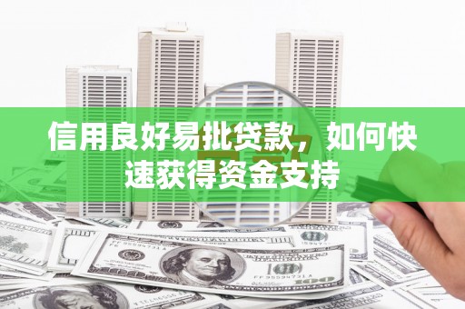 特克斯信用良好易批贷款，如何快速获得资金支持