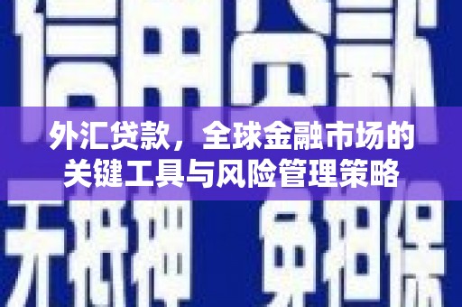特克斯外汇贷款，全球金融市场的关键工具与风险管理策略