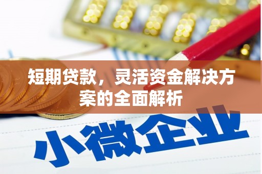 特克斯短期贷款，灵活资金解决方案的全面解析