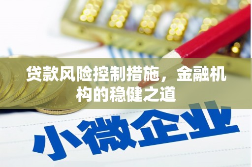 特克斯贷款风险控制措施，金融机构的稳健之道