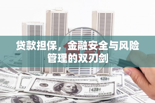 特克斯贷款担保，金融安全与风险管理的双刃剑