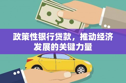 特克斯政策性银行贷款，推动经济发展的关键力量