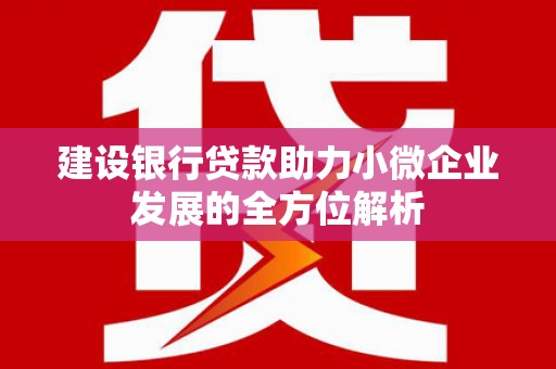 特克斯建设银行贷款助力小微企业发展的全方位解析