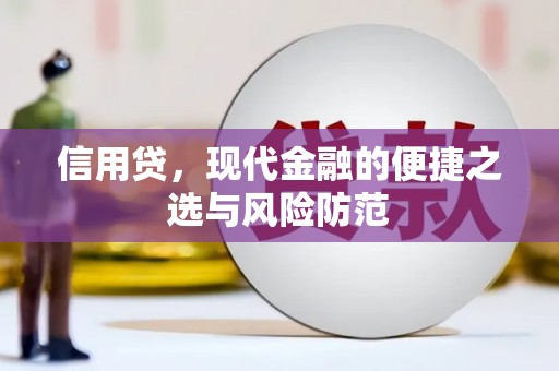 特克斯信用贷，现代金融的便捷之选与风险防范