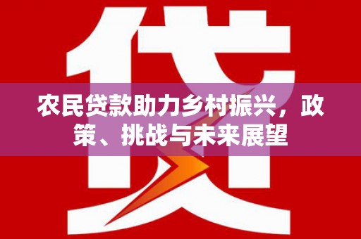 特克斯农民贷款助力乡村振兴，政策、挑战与未来展望