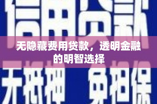 特克斯无隐藏费用贷款，透明金融的明智选择