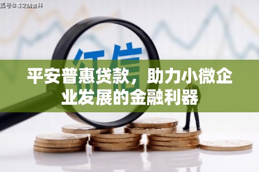 特克斯平安普惠贷款，助力小微企业发展的金融利器