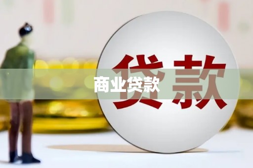 特克斯商业贷款