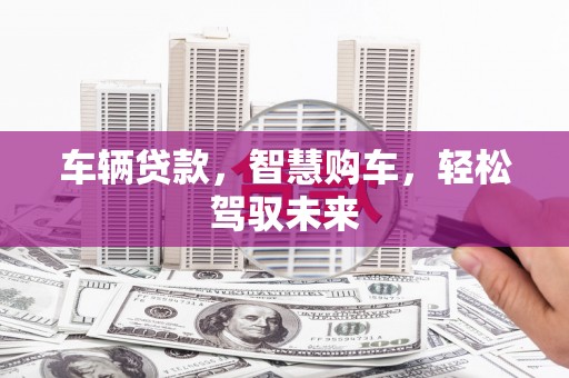 特克斯车辆贷款，智慧购车，轻松驾驭未来