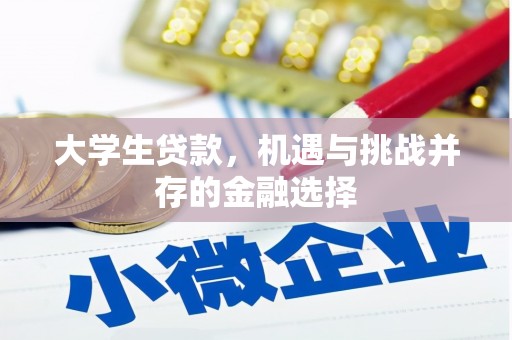 特克斯大学生贷款，机遇与挑战并存的金融选择