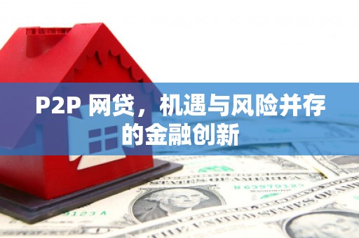 特克斯P2P 网贷，机遇与风险并存的金融创新
