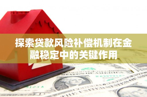 特克斯探索贷款风险补偿机制在金融稳定中的关键作用