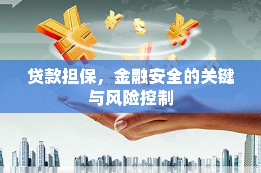 特克斯贷款担保，金融安全的关键与风险控制