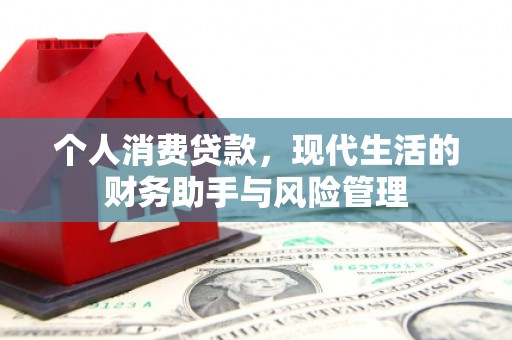 特克斯个人消费贷款，现代生活的财务助手与风险管理