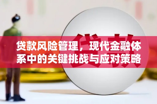 特克斯贷款风险管理，现代金融体系中的关键挑战与应对策略