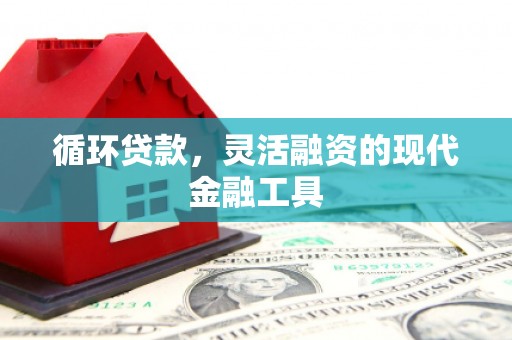 特克斯循环贷款，灵活融资的现代金融工具