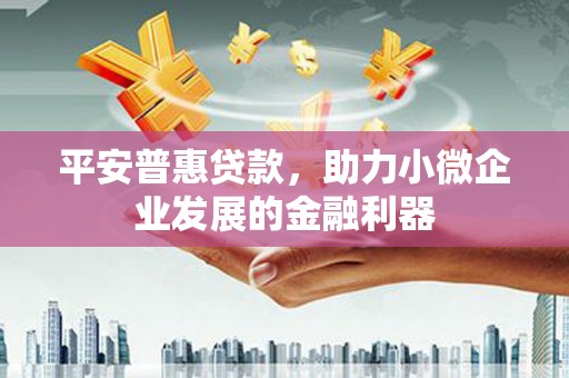 特克斯平安普惠贷款，助力小微企业发展的金融利器