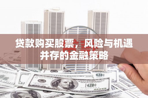 特克斯贷款购买股票，风险与机遇并存的金融策略
