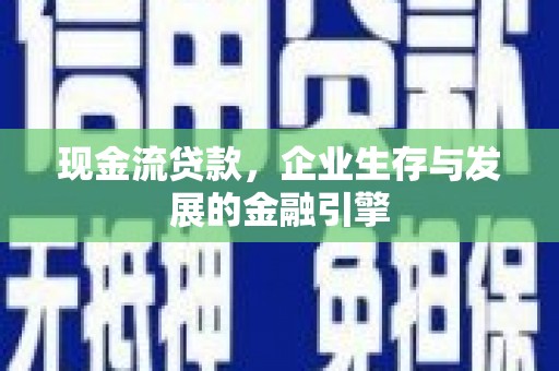 特克斯现金流贷款，企业生存与发展的金融引擎
