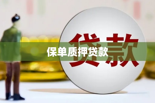 特克斯保单质押贷款