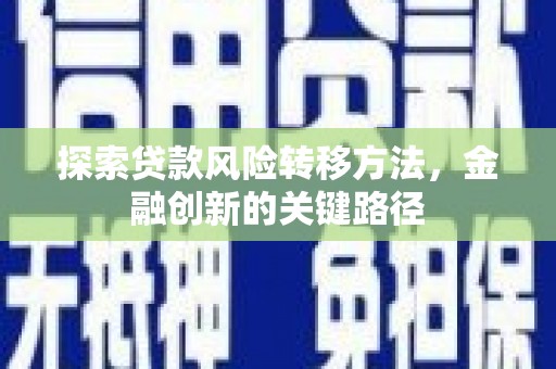 特克斯探索贷款风险转移方法，金融创新的关键路径