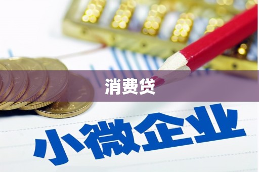 特克斯消费贷