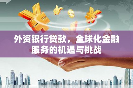 特克斯外资银行贷款，全球化金融服务的机遇与挑战