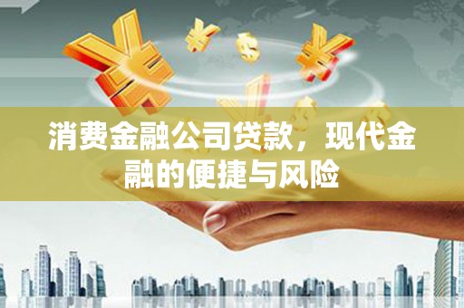 特克斯消费金融公司贷款，现代金融的便捷与风险