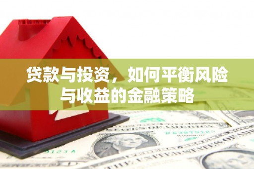 特克斯贷款与投资，如何平衡风险与收益的金融策略